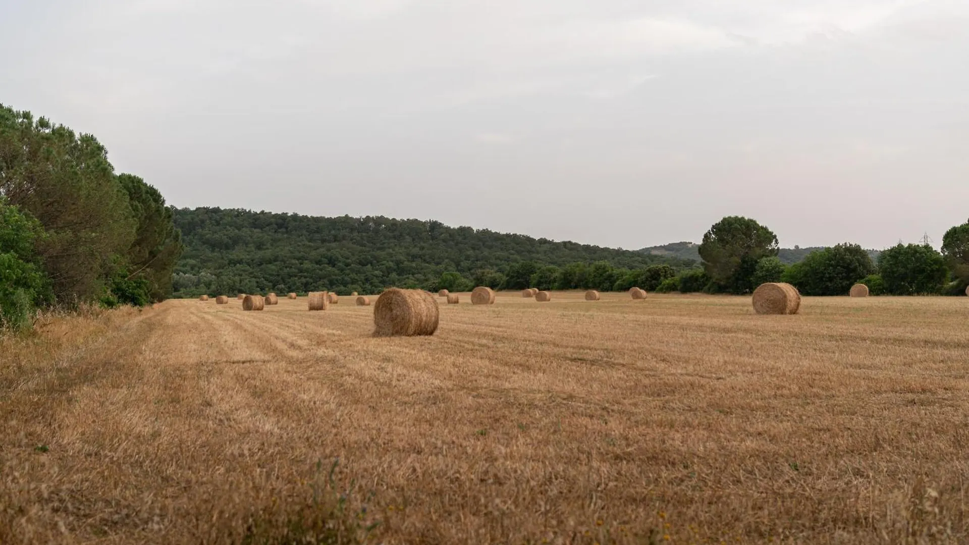 B&B Tenuta Di Paganico - Wine&Food Italien