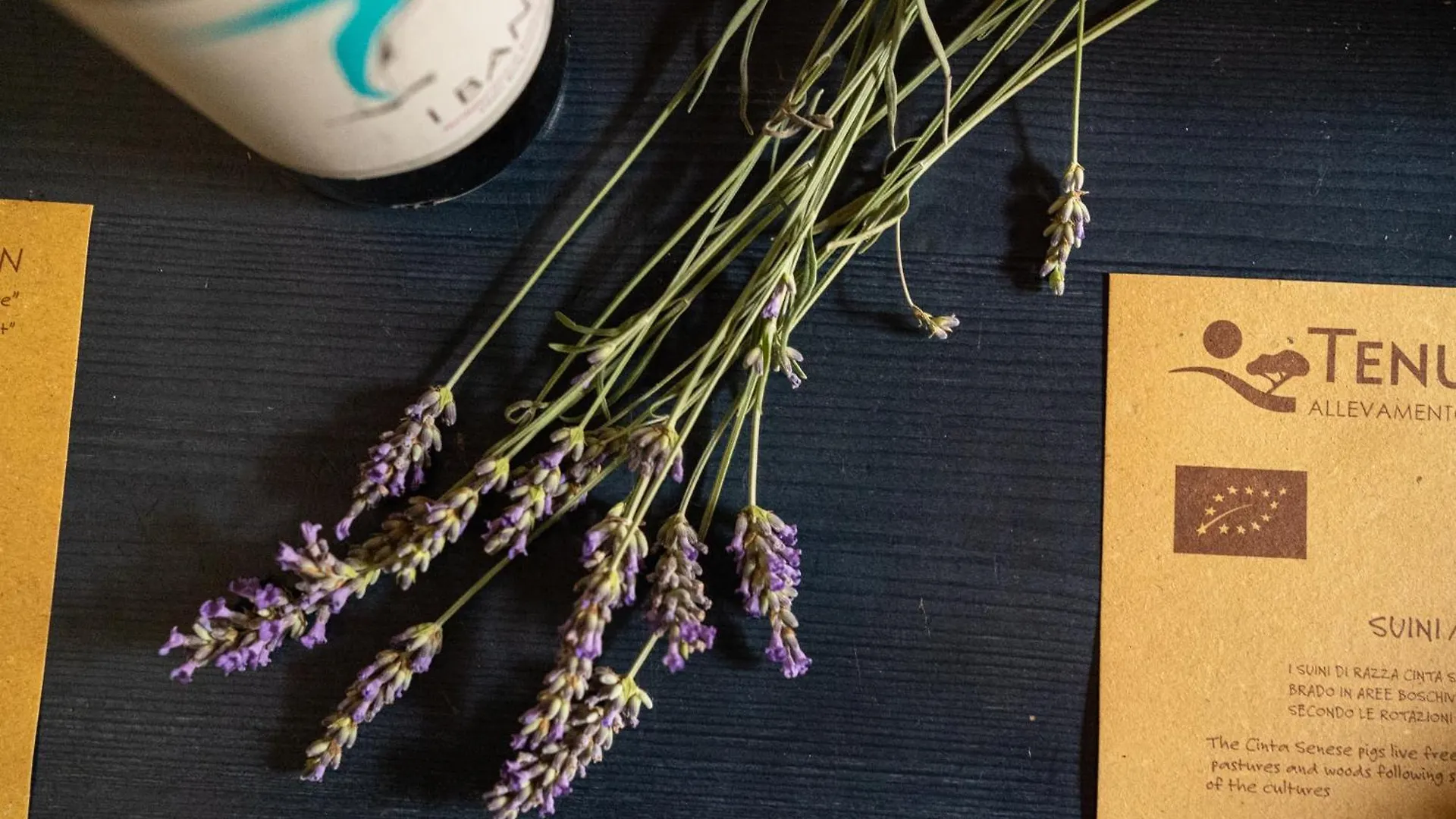 B&B Tenuta Di Paganico - Wine&Food 0*, Paganico (Grosseto) Italien